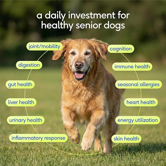 Native Pet Senior Daily Dog Vitamins & Supplements – 12-in-1 Dog Multivitamin Powder for Senior Dogs – Supports Mobility, Cognition, Digestion, Immune Health & More – 30 Scoops