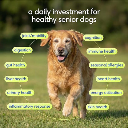 Native Pet Senior Daily Dog Vitamins & Supplements – 12-in-1 Dog Multivitamin Powder for Senior Dogs – Supports Mobility, Cognition, Digestion, Immune Health & More – 30 Scoops