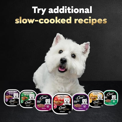 Cesar Loaf in Sauce Wet Dog Food Variety Pack, Rotisserie Chicken Flavor with Bacon & Cheese, Filet Mignon Flavor with Bacon & Potato, Wet Food for Dogs, 3.5 oz Easy Peel Trays, 12 Count (Pack of 2)