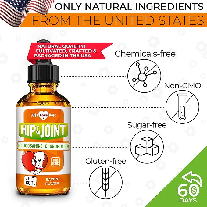 Glucosamine for Dogs + Chondroitinin in Liquid Form – Hip & Joint Supplement for Dogs to Care for Muscular System – Effective Dog Health Supplies with Natural Bacon Flavor – All Breeds Support – 2 oz