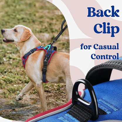 rabbitgoo Dog Harness for Large, No Pull Pet Harness with 3 Buckles, Adjustable Soft Padded Vest with Control Handle, Walking Reflective Pet Vest for Large Dogs, Royal Blue & Red, L