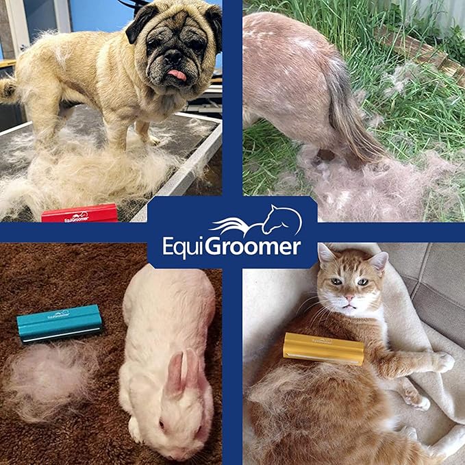 EasyGroomer Deshedding Brush for Dogs & Cats – Undercoat Grooming Tool for Short & Long Hair, Removes Loose Fur & Dirt, Reduces Shedding for Small & Large Pets, Red