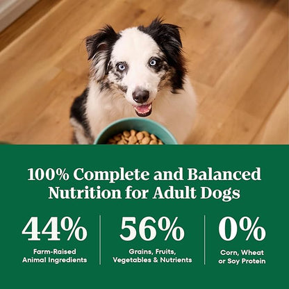 Nutro Natural Choice Dry Dog Food, Adult Dog Food Dry Chicken and Brown Rice Recipe, 5 lbs.