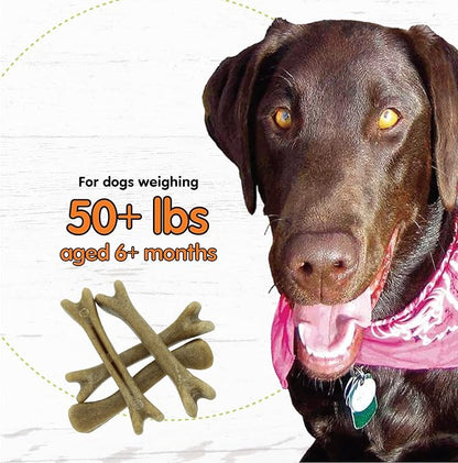 Fido - Super Breath Dental Care Bones for Dogs - 4 Count Large Dog Dental Treats for Large Dogs (Made in USA) - Tasty Dog Dental Chews Help Reduce Plaque, Tartar Buildup, and Freshens Breath