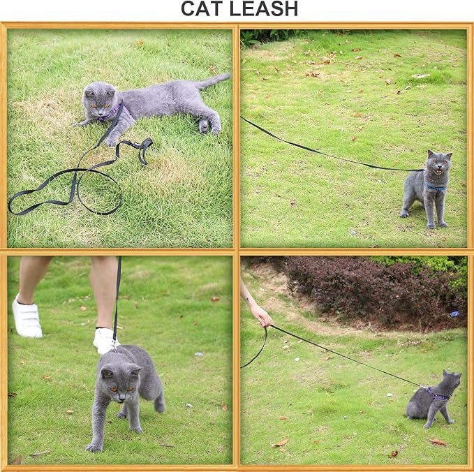 AMAGOOD 6 FT Cat Leash, Strong and Durable Traditional Style Leash with Easy to Use Collar Hook,Cat Lead Great for Cats (3/8 in x 6 ft,Black and Red(2-Pack))