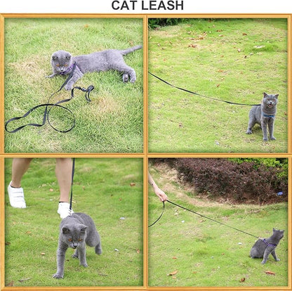 AMAGOOD 6 FT Cat Leash, Strong and Durable Traditional Style Leash with Easy to Use Collar Hook,Cat Lead Great for Cats (3/8 in x 6 ft,Black and Red(2-Pack))