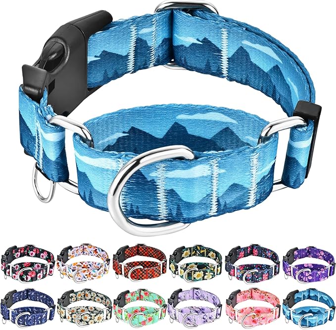 Martingale Collar for Dogs with Buckle Dog Collar Adjustable Soft Nylon Boy Dog Collars for Puppy Dogs, Blue Sunset