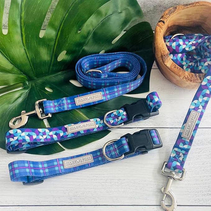 Lucky Love Dog - Adjustable Dog Collar and Leash Set with Easy Click Buckle for Small Dogs, Durable, & Comfortable Collar for Male & Female Dogs, Puppies & Adult Ones - Jasper Combo, XS