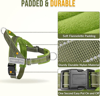 SlowTon No Pull Dog Harness - Heavy Duty Dog Harness and Leash Set for Medium Large Dogs, Reflective Tactical Harness with Soft Padded and Front Clip for Easy Walk and Training (GR, M)