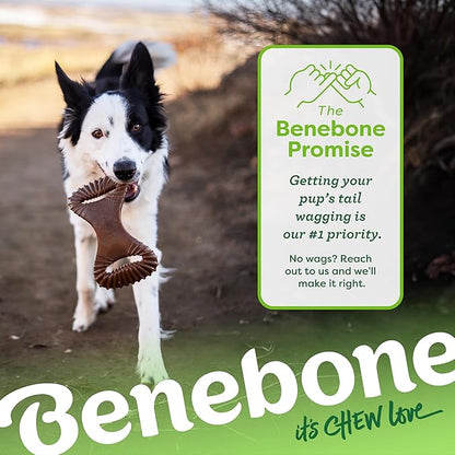 Benebone Dental Durable Dog Chew Toy for Aggressive Chewers, Real Chicken, Made in USA, Medium