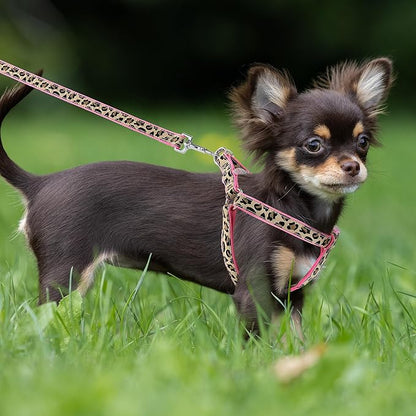 Mile High Life Leopard Dog Harness Collar Leash Set, Adjustable No Pull Dog Halter Harness for Small Breed Dogs, Easy Control for Training Walking (Pink, XS Chest 9"-15", Neck 8"-12")