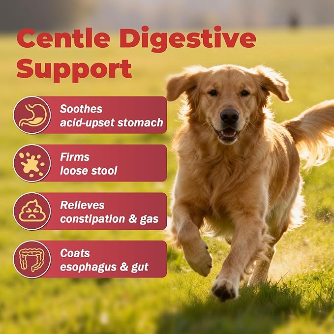 Slippery Elm for Dogs – Megaesophagus Dog Aid – Vet-Formulated Organic Slippery Elm Bark Powder – Cat Digestive Support – Relief for Constant Upset Stomach, Acid Reflux, Throwing Up – 5.3 oz