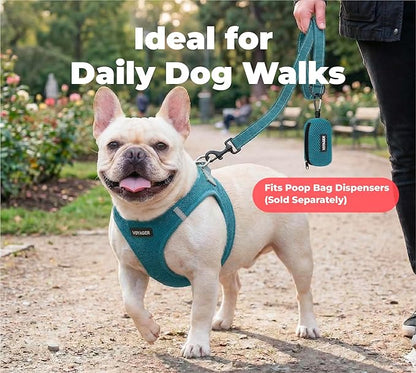 Best Pet Supplies Voyager Reflective Dog Leash or Collar with Neoprene Handle, for Small, Medium, and Large Breed Puppies, Cute and Heavy Duty for Walking, Running and Training - Turquoise (Leash), S