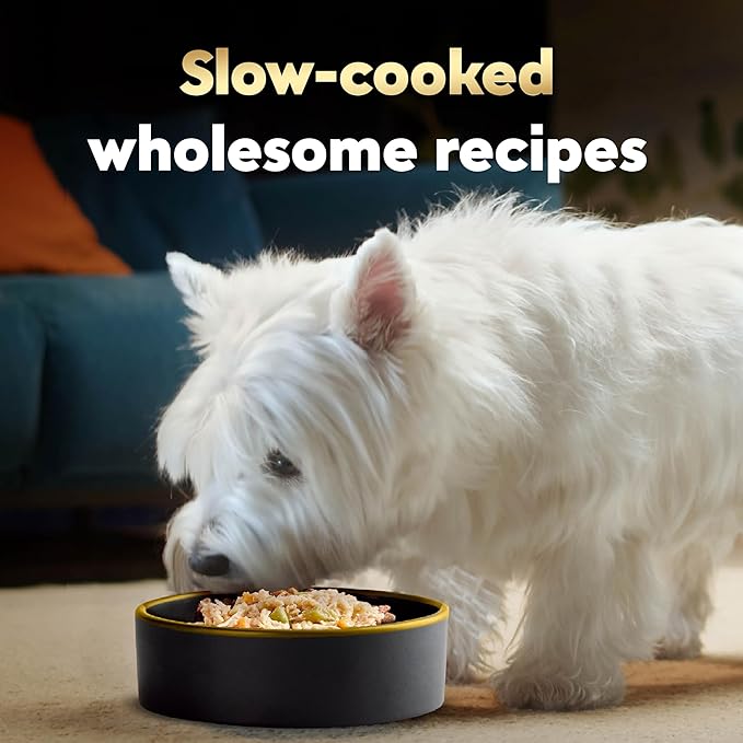 Cesar Wholesome Bowls Adult Wet Dog Food, Chicken, Carrots, Barley & Green Beans Recipe, Wet Food for Dogs, 3 Oz. Bowls, 10 Count