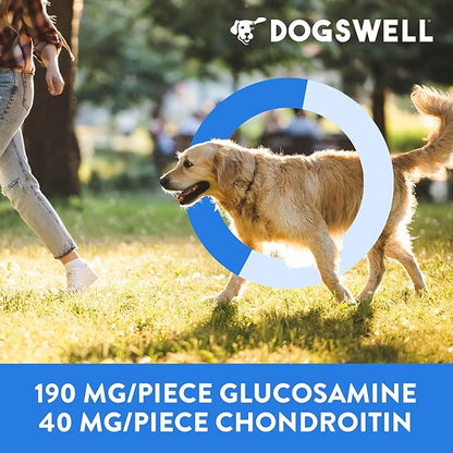 Dogswell Hip & Joint Chicken Soft & Chewy - 14 oz.