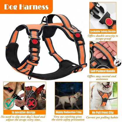 No Pull Dog Harness, Collar & Leash Set | Includes Dog Seat Belt, Collapsible Bowls & Poop Bag Dispenser. Ideal for Training, Walking, Hiking. Fits Small to Large Dogs(Orange-M)