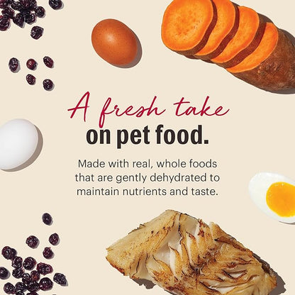 The Honest Kitchen Human Grade Wholemade™ Dehydrated Dog Food, Grain Free Fish, 10 lb (makes 40lbs)