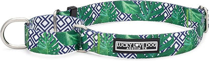 Lucky Love Dog Martingale Collar, Premium No Slip Martingale Collar for Medium Boy Dogs, Great for Whippets, Greyhounds, and More (Medium, Blue Laguna)
