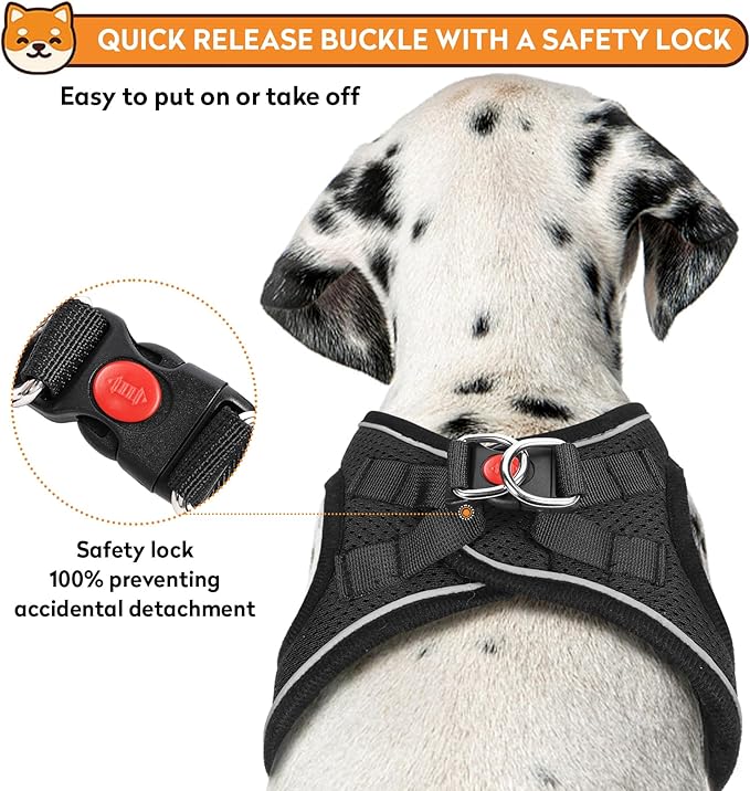 Dog Harness with Leash Set, No-Pull Step-in Reflective Pet Harness with 1 Leash Clips, Adjustable Soft Padded Easy Walk Dog Vest for Small Medium Large Dogs, Cats(Carbon Black, XSmall)