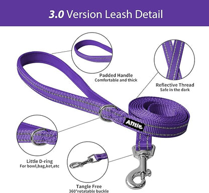AIITLE Comfortable Dog Harness and Leash Set for Walking - Step in Vest Harness,Reflective Bands, Adjustable No Pull Puppy Essentials, for Small Dogs and House Cats Pure Purple XS