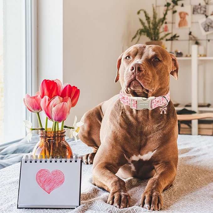 ARING PET Girl Dog Collar, Cute Spring Summer Pink Bow Puppy Pet Collars Necklace for Small Medium Large Female Dogs-XS