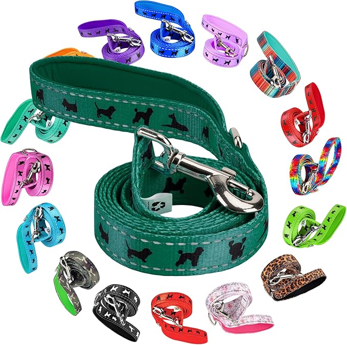 EcoBark Dog Leash - Soft & Reflective Comfort Leash with Padded Handle - Strong Durable Heavy Duty - Training and Pulling for Small, Medium or Large Dogs (Forest Green)