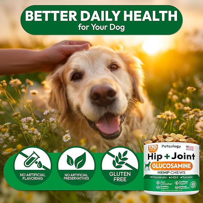 Hemp Hip and Joint Supplement for Dogs - Glucosamine for Dogs - 170 Mobility Support Chews - Advanced Joint Pain Relief Treats with Chondroitin, MSM, Turmeric - Large & Small Breeds - Made in USA