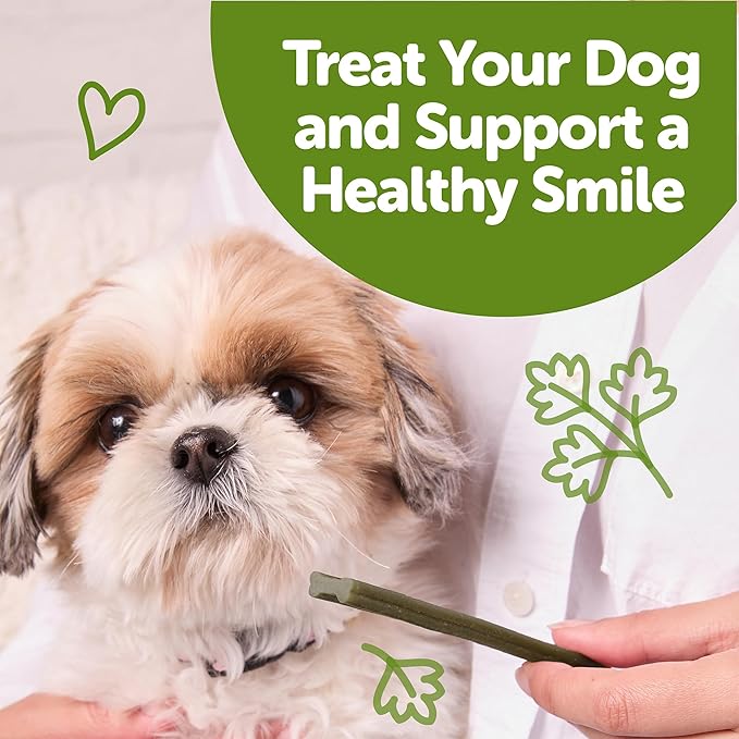 Wellness WHIMZEES Freshzees Dog Dental Treat, Soft Chews, Freshens Breath, Extra-Small Size, 14.81 oz Bag, 56 Count
