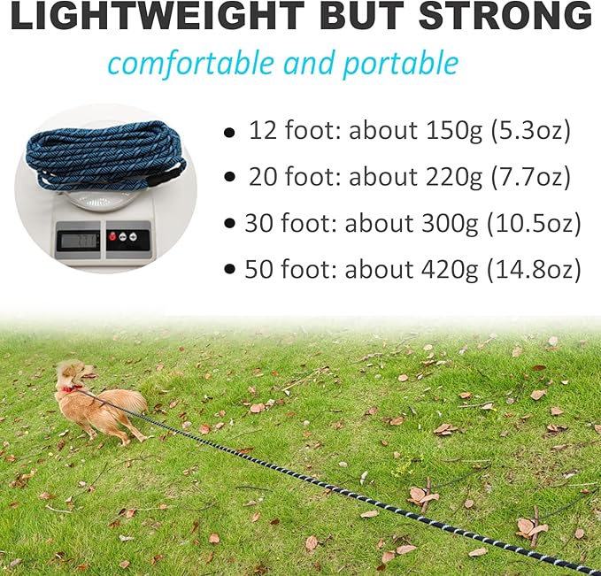 30FT Long Slip Lead Dog Leash, 12FT/ 20FT/ 50FT Anti-Choking Reflective Nylon Rope Training Leash for Medium Small Dogs Outdoor Behavior Active Playing (Blue)