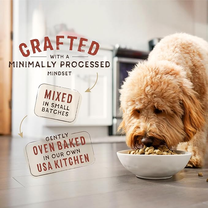 Stella & Chewy's SuperBlends Raw Coated Wholesome Grains Cage-Free Chicken & Duck Recipe with Superfoods, 3.5 lb. Bag