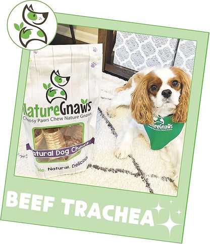 Nature Gnaws Beef Trachea Chews for Dogs 3" (12 Count) - Long Lasting Natural Crunchy Dog Chew Bones - Rawhide Free (Pack of 2)
