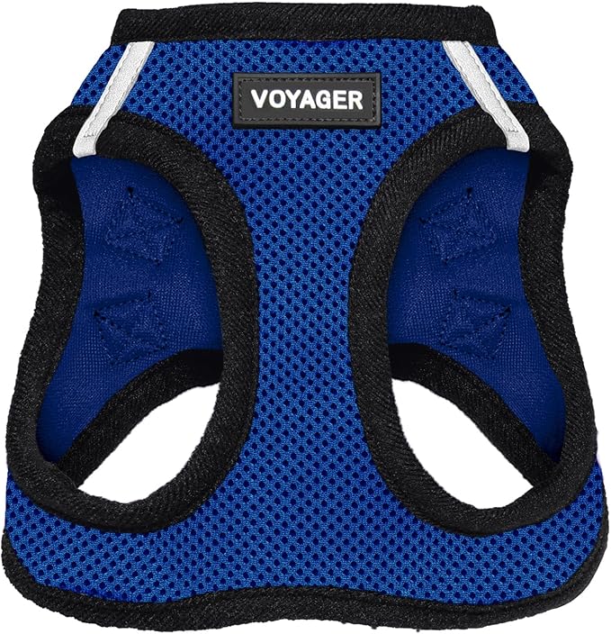 Best Pet Supplies Voyager Step-in Air Harness - All Weather Mesh, Reflective, No Pull Harness for Dogs, Cats - Secure with Hook & Loop Fastener, Buckle, Double D-Rings - Royal Blue/Black Trim, XL