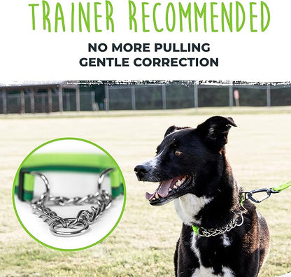 Mighty Paw Martingale Dog Collar 2.0 | Trainer Approved Limited Slip Collar with Stainless Steel Chain & Heavy Duty Buckle - Modified Cinch for Gentle & Effective Pet Training - Large, Green