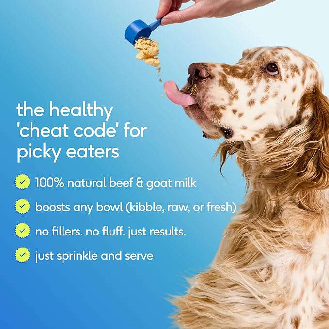 Native Pet The Daily Dog Vitamins & Supplements - 11-in-1 Multivitamin Powder for Dogs - Supports Whole Body Health, Digestion, Mobility & Immunity with Collagen, Glucosamine & Probiotics –120 Scoops