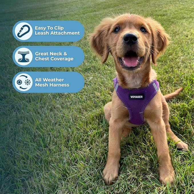 Best Pet Supplies Voyager Step-in Air All Weather Mesh Harness and Reflective Dog 5ft Leash Combo with Neoprene Handle, for Small, Medium and Large Breed Puppies - Set (Purple), XX-Small