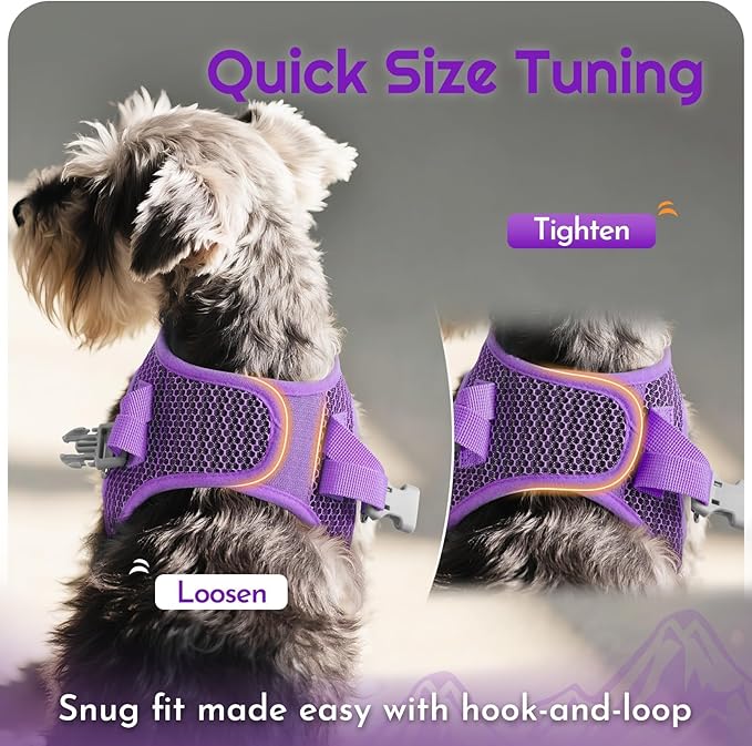 Eagloo Small Dog Harness and Leash Set, Step in Puppy Vest with Breathable Soft Mesh, Walking Reflective Pet Harness for Small Dogs, Purple, L