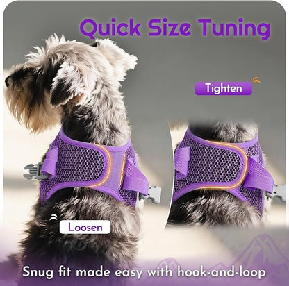 Eagloo Small Dog Harness and Leash Set, Step in Puppy Vest with Breathable Soft Mesh, Walking Reflective Pet Harness for Small Dogs, Purple, L