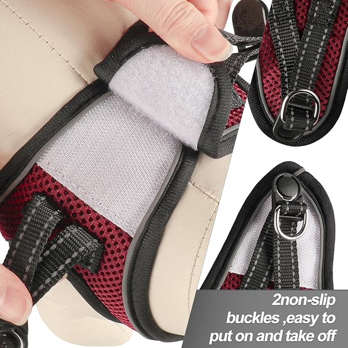 Dog Harness for Small Dogs and Leash Set, Honeycomb Grid, Reflective Lightweight Harness & Anti-Twist Pet Lead Multi Color, Size: XS-S-M. (XS, Deep Purple)
