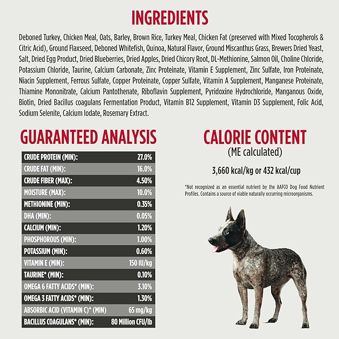 Nulo Frontrunner Dry Dog Food Small Breed - High-Protein Turkey, Whitefish & Quinoa Recipe, Natural Puppy & Adult Dog Food, Small Sized Kibble with Probiotics, Taurine, Omega 3, 14lb Bag