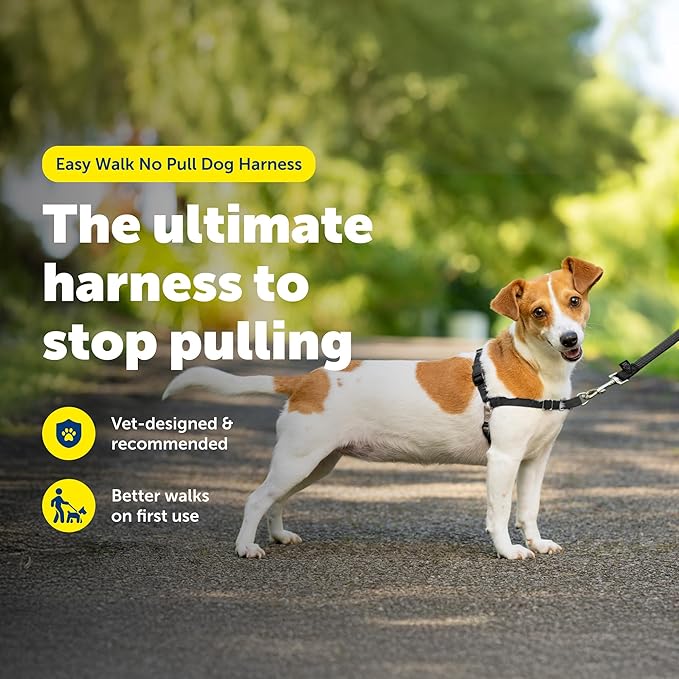 PetSafe Easy Walk Harness for Dogs - Pull-Free Walks - Patented Martingale Loop Design - Front Chest Leash Attachment - Comfort Straps - Breathable Harness Design - Small, Black/Silver