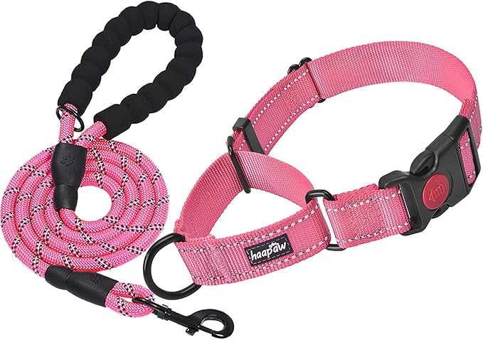 haapaw Martingale Dog Collar with Quick Release Buckle Reflective Dog Training Collars for Small Medium Large Dogs