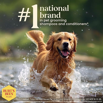 Burt’s Bees for Pets Oatmeal Dog Shampoo with Honey, Soothing Dog Shampoo for Itchy and Sensitive Skin, pH Balanced Formula That Gently Cleans and Moisturizes Dog Coats, 16 Fl Oz - 2 Pack