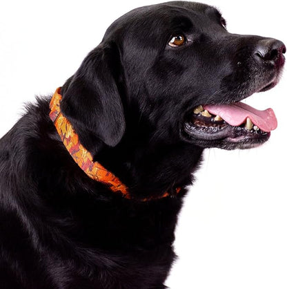 Country Brook Petz - Orange Sunset Camo Martingale Dog Collar and Leash - Camouflage Collection Featuring Rugged Designs (1 Inch, Large)