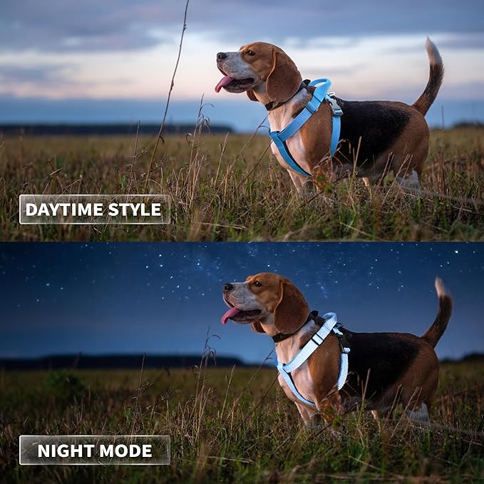 Galaxy Reflective Dog Harness,Adjustable 4-Point Fit,Anti-Pinch Buckles,Back-Clip Control & Emergency Handle,Velvet Lined for Small, Medium and Large Dogs, (Black, L)