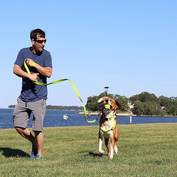 Pawtitas Solid Step-in Dog Harness – Adjustable No-Pull Vest for Puppies to Seniors, Safe & Comfortable S Green