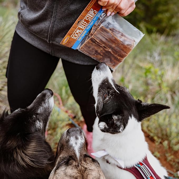 Cadet 100% Beef Strips Dog Chew Sticks, Long-Lasting Single-Ingredient Natural Treats, High-Protein, Perfect for Small & Large Breeds, 12 oz
