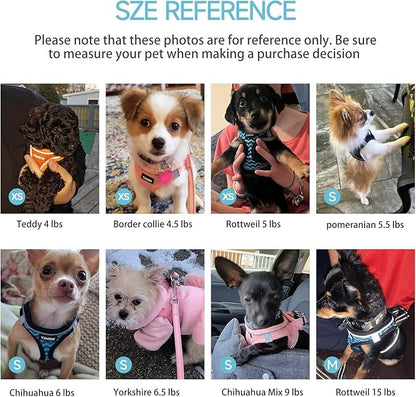 Dog Harness for Small Dogs and Leash Set, Honeycomb Grid, Reflective Lightweight Harness & Anti-Twist Pet Lead Multi Color, Size: XS-S-M. (M, Sky Blue)