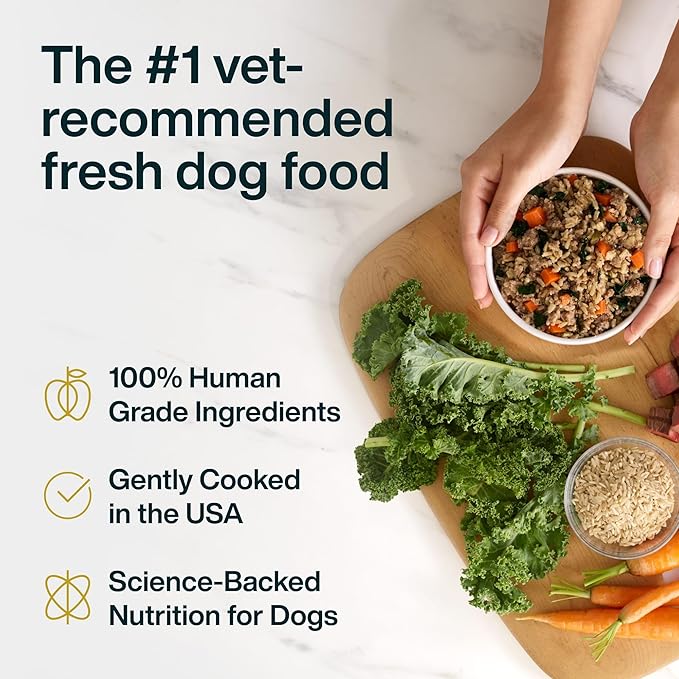 JustFoodForDogs JustFresh Wet Dog Food, Fresh Pet Meals and Toppers with No Preservatives, Resealable Package, Human Grade, Home-Cooked Beef, 12 oz - 7 Pack