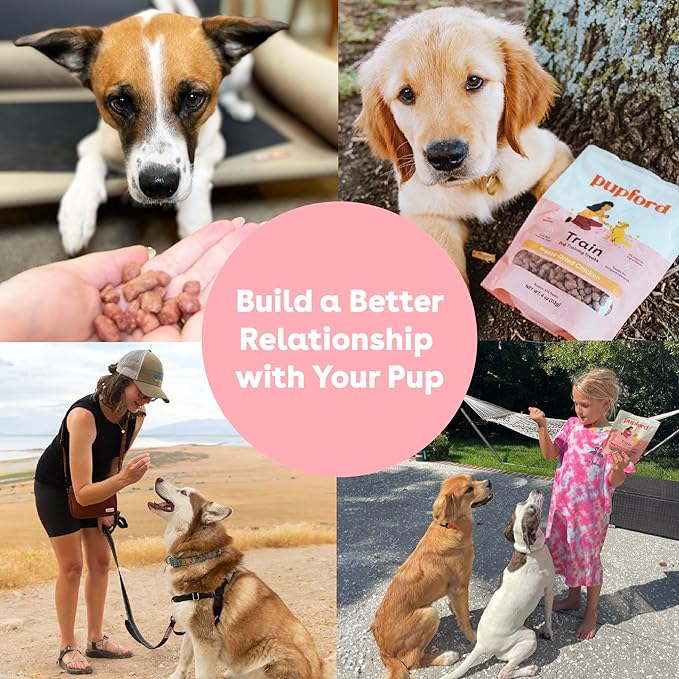 Pupford Freeze Dried Training Treats for Dogs & Puppies, 900+ Two Ingredient Bites (Chicken, 8 oz)