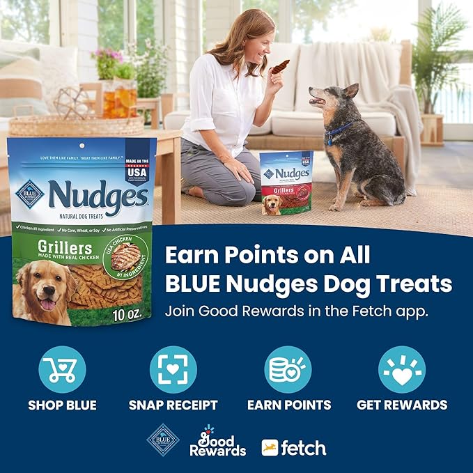 Blue Buffalo Nudges Homestyle Natural Dog Treats Chicken and Bacon, 16-oz Bag